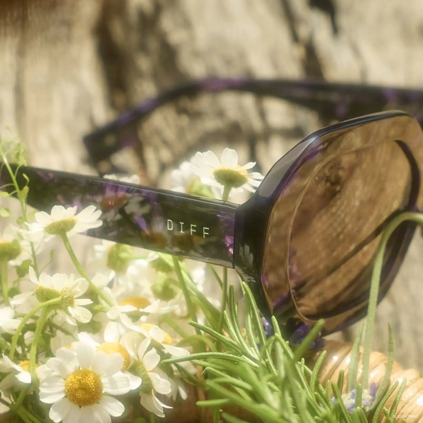 AUNT JET - PURPLE TORTOISE + BROWN + SUNGLASSES