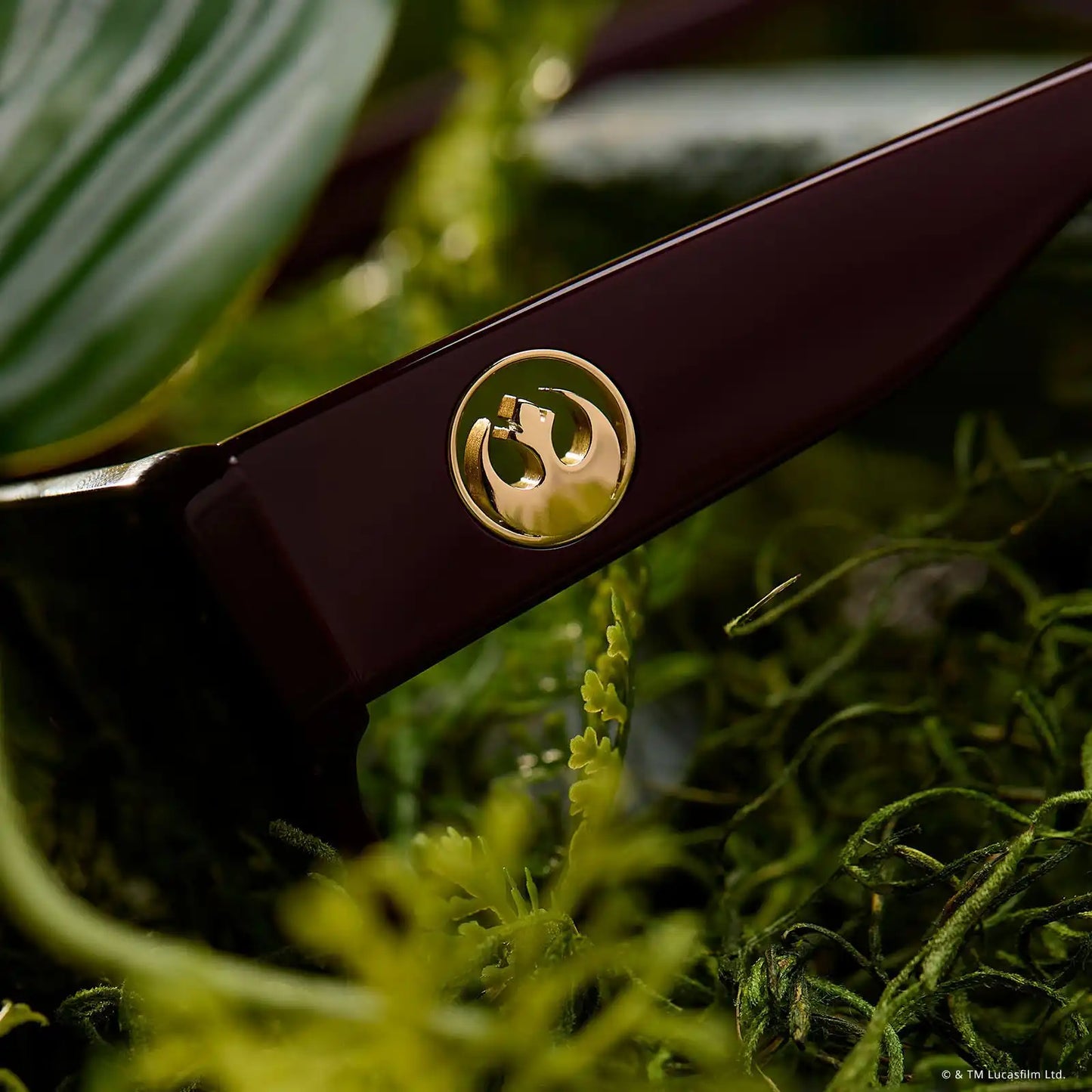 GENERAL LEIA™ - REGAL AUBERGINE CRYSTAL + GLASSES