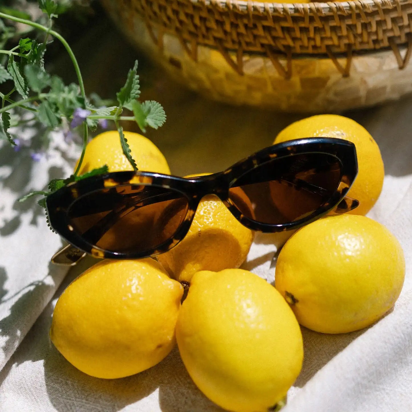 DOLCE BELLA - ESPRESSO TORTOISE + BROWN SUNGLASSES
