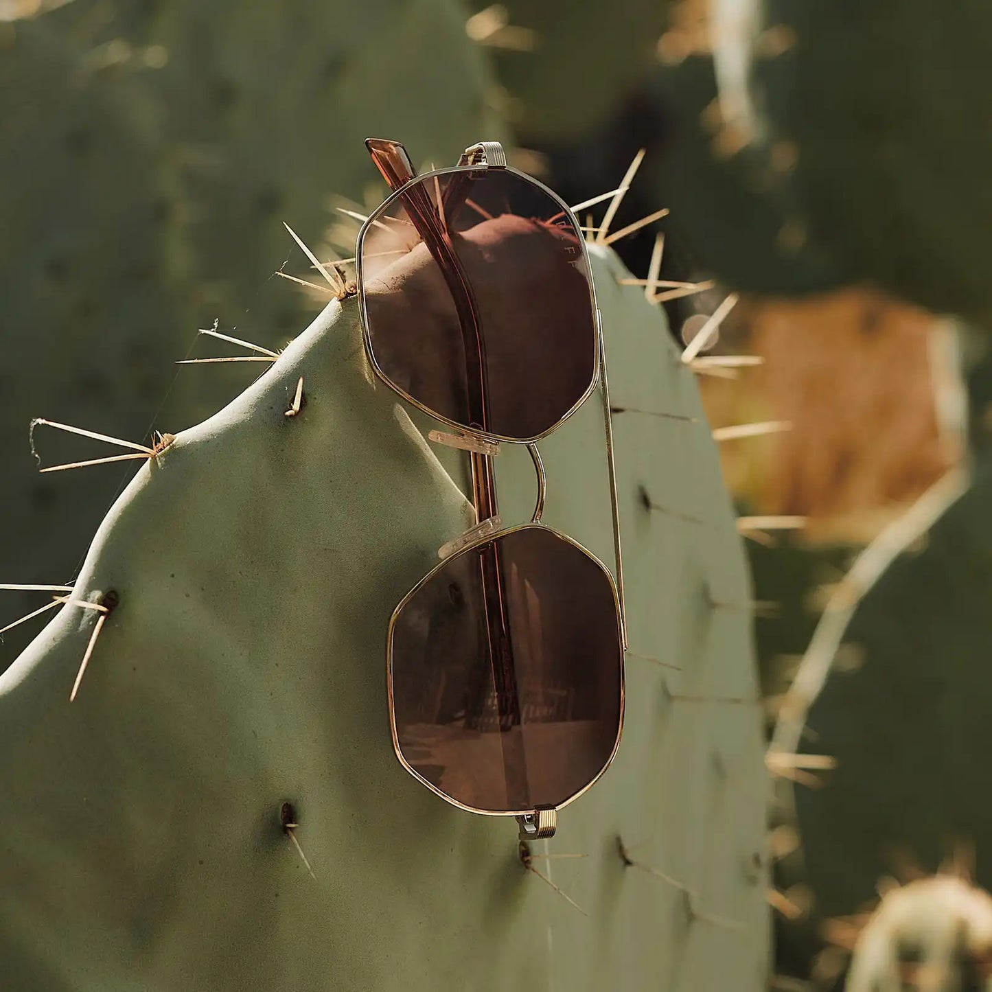 JOELLE - GOLD + HORN TORTOISE + BROWN GRADIENT SUNGLASSES