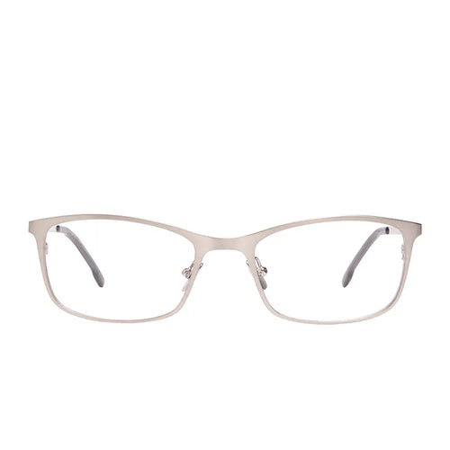 BERNIE - BRUSHED SILVER + GLASSES