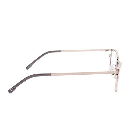 BERNIE - BRUSHED SILVER + GLASSES