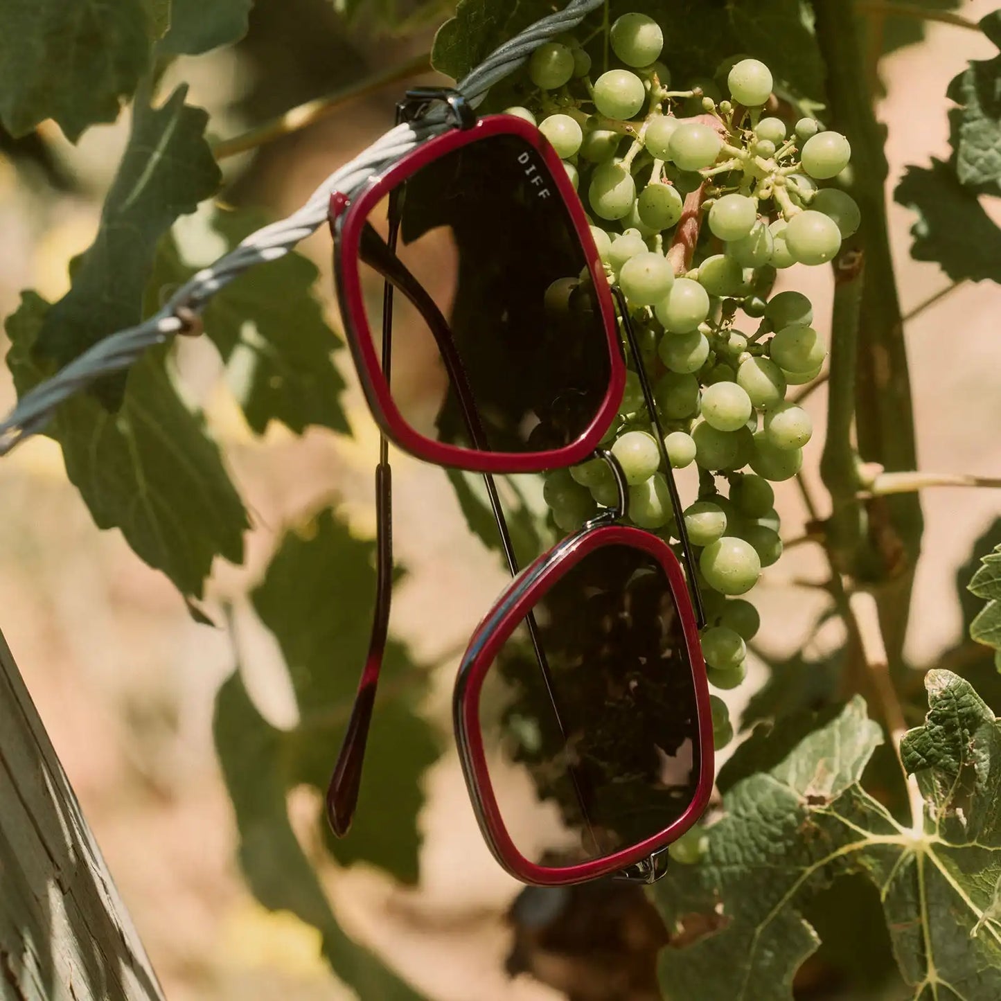 JORDAN - DARK CHERRY LACQUER + GREY GRADIENT + POLARIZED SUNGLASSES