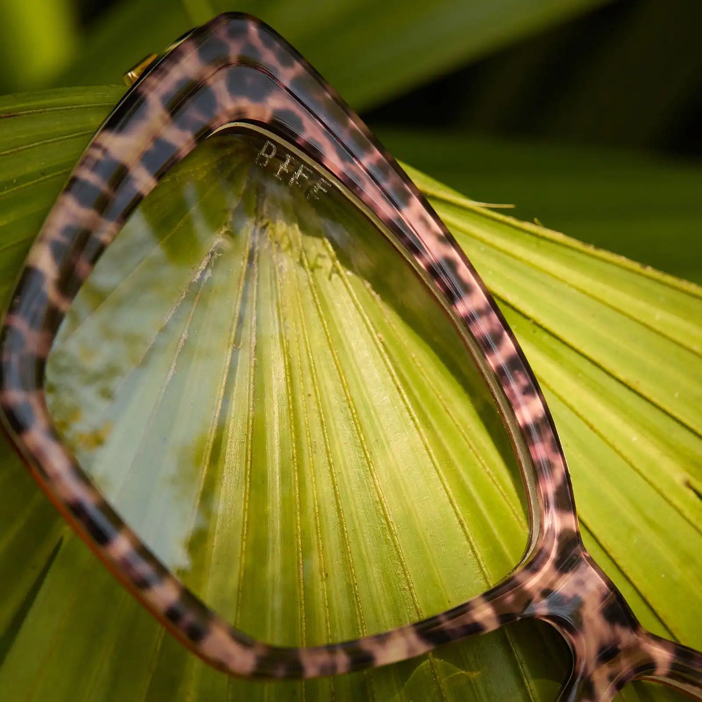 BECKY II - LEOPARD TORTOISE + GLASSES