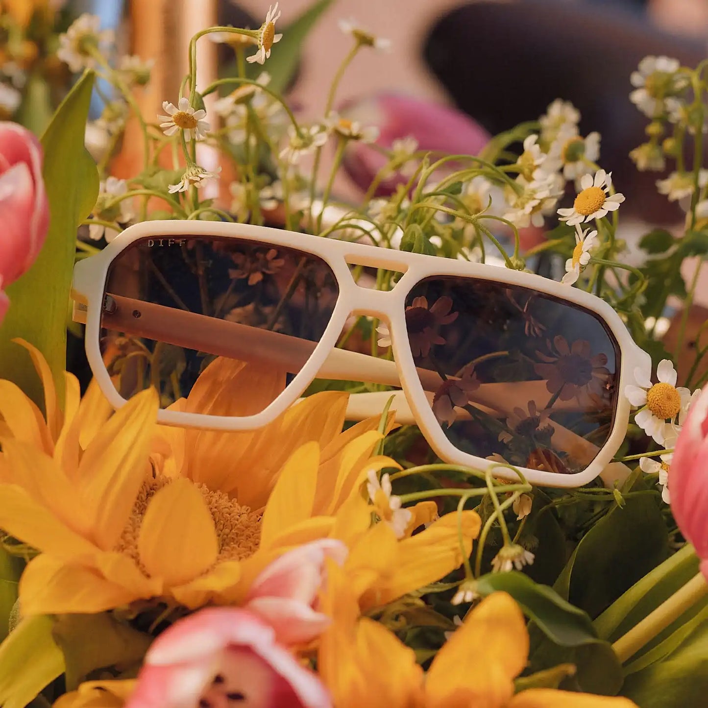 CAMERON - COURTSIDE IVORY + BROWN GRADIENT + POLARIZED SUNGLASSES