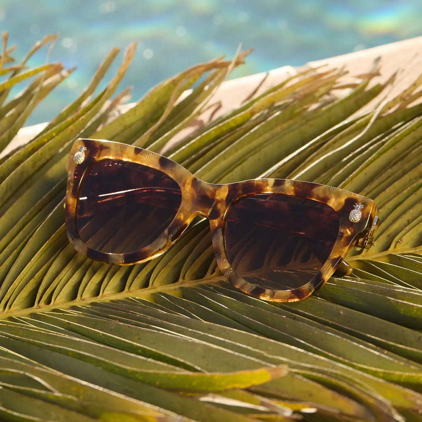 HAWAII - COCONUT PALM TORTOISE + BROWN SUGAR GRADIENT SUNGLASSES