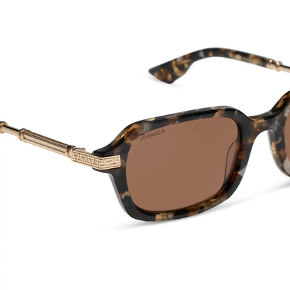 COSETTE - TORTOISE + BROWN + POLARIZED + SUNGLASSES
